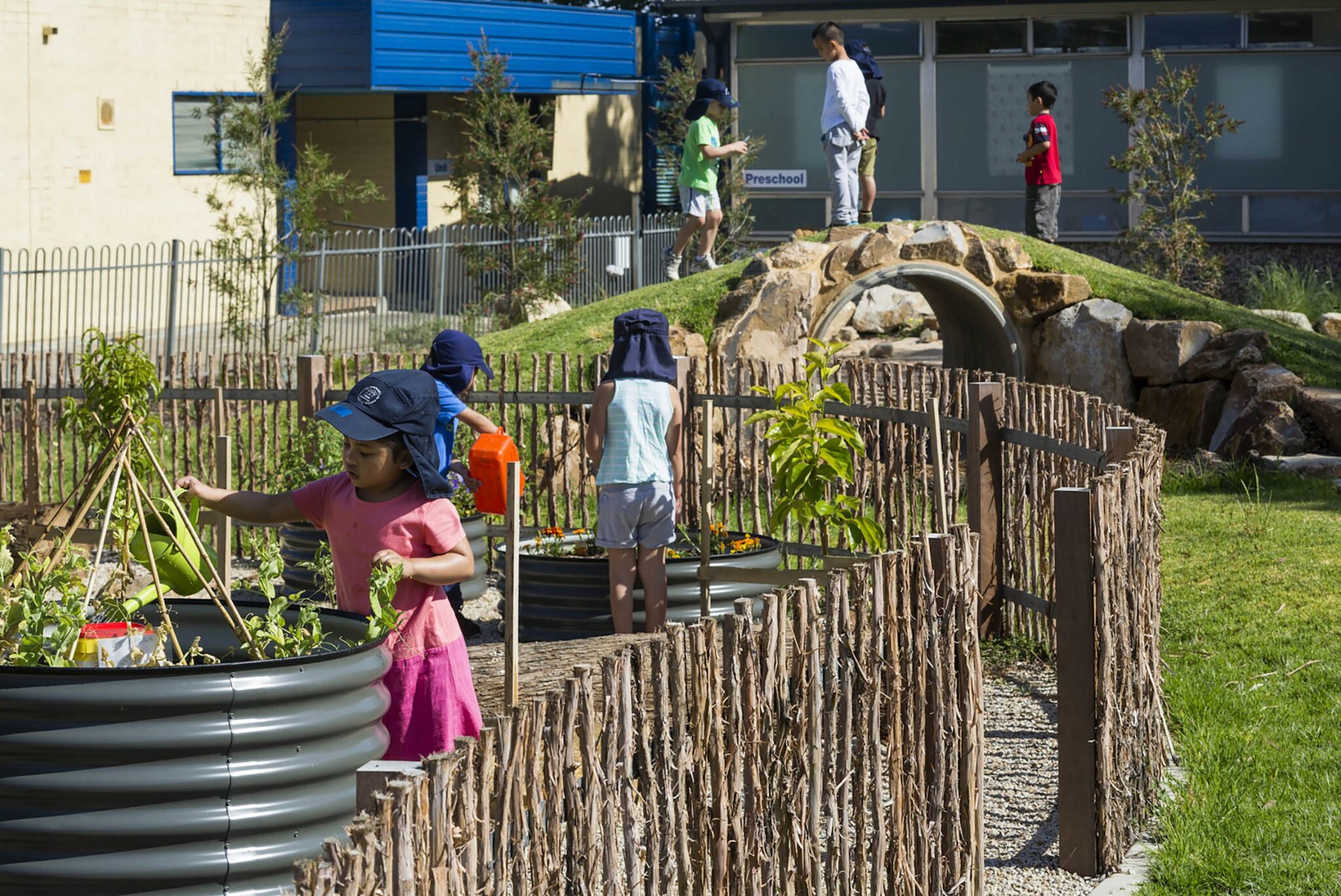outdoor plants for kindergartens scaled